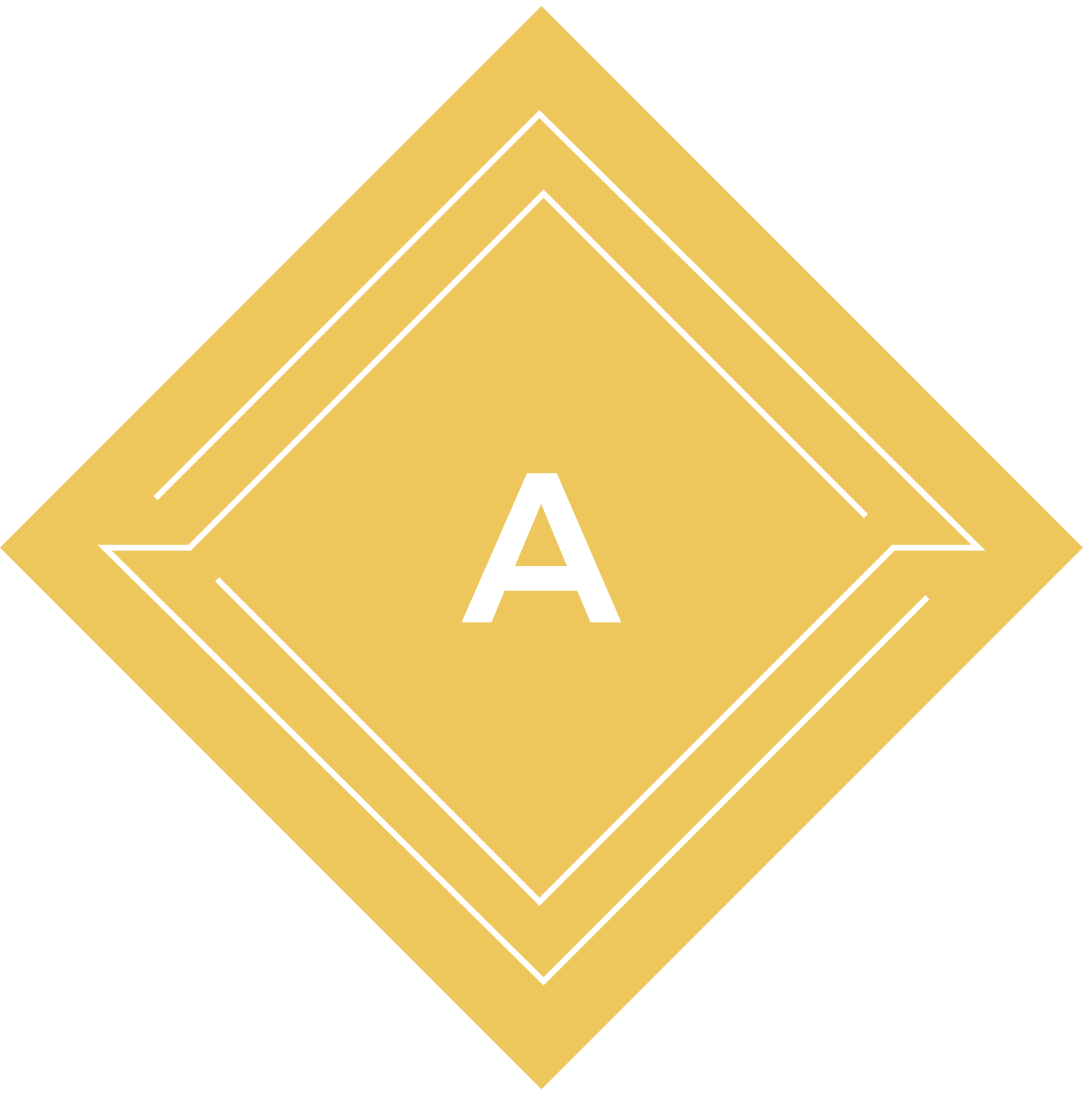 Head of Distribution