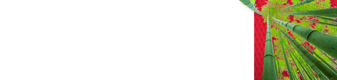 pb-d-fixed-income_capabilities-desktop 